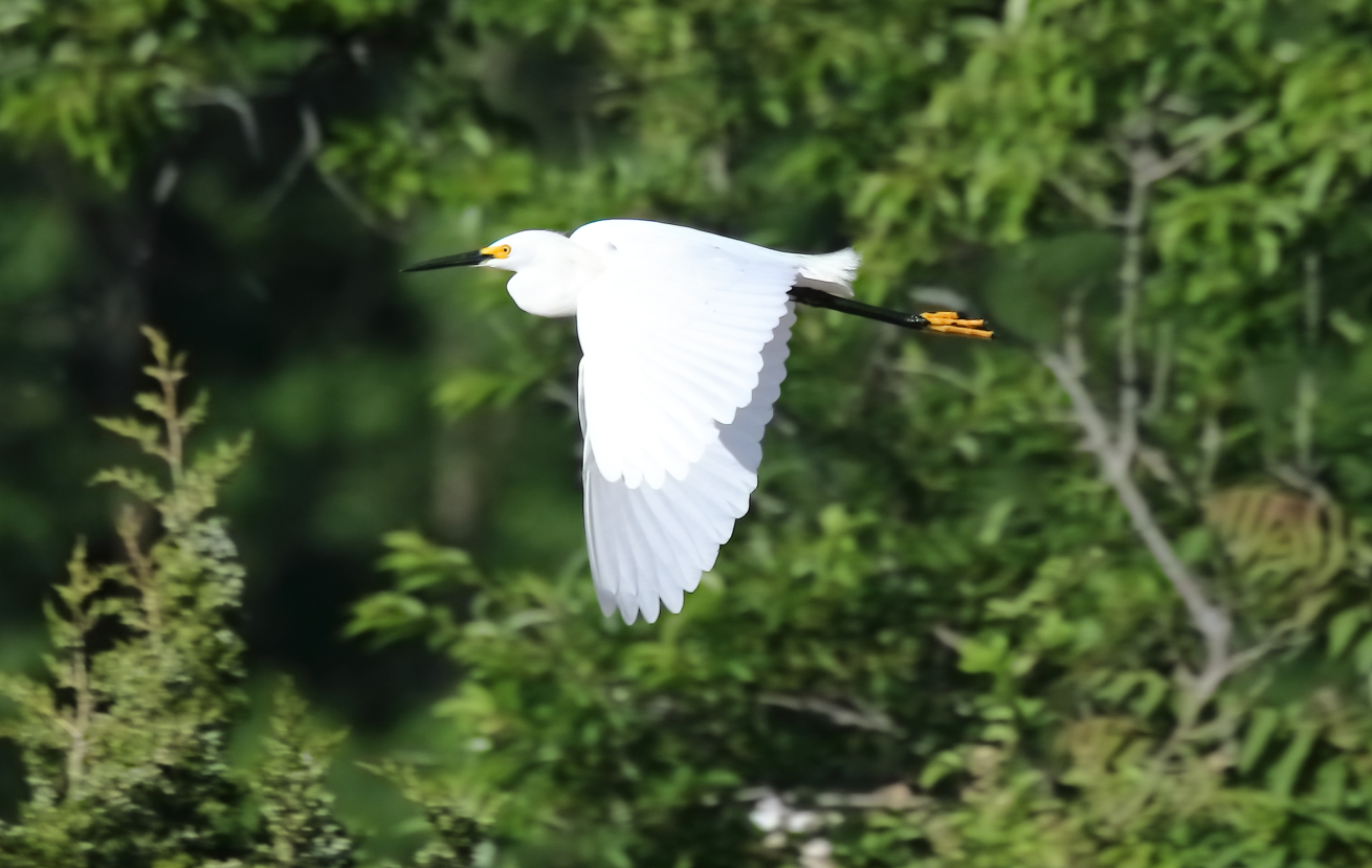 2018 06 11 HTP 27158